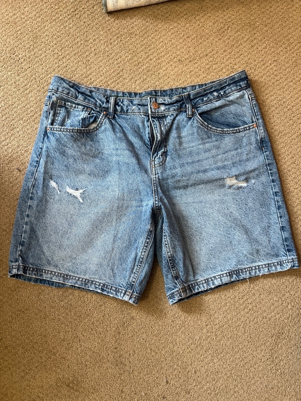 wild fable Light Blue Distressed Men's Denim Shorts